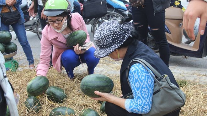 Chúng ta còn tiếp tục 'giải cứu' dưa hấu đến bao giờ?