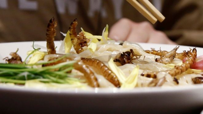 Rùng mình với món ăn yêu thích mới của người Nhật Bản: Mì sâu bọ