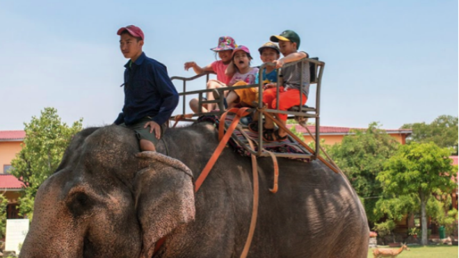 Đi đâu, chơi gì cùng gia đình cho kỳ nghỉ lễ thật vui và ý nghĩa?