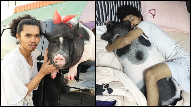 Truy lùng facebook chàng trai người Thái nuôi heo để làm 'bạn gái'