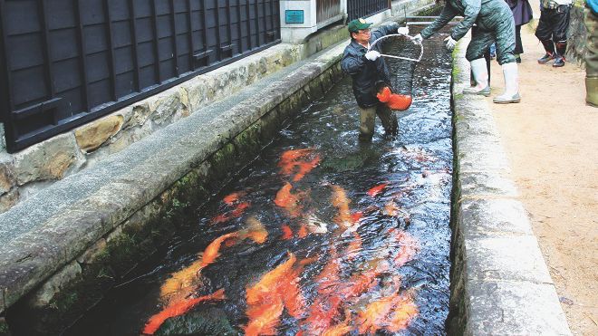 Nhật Bản: Con suối sạch nuôi sống hơn 18.000 người của một thành phố