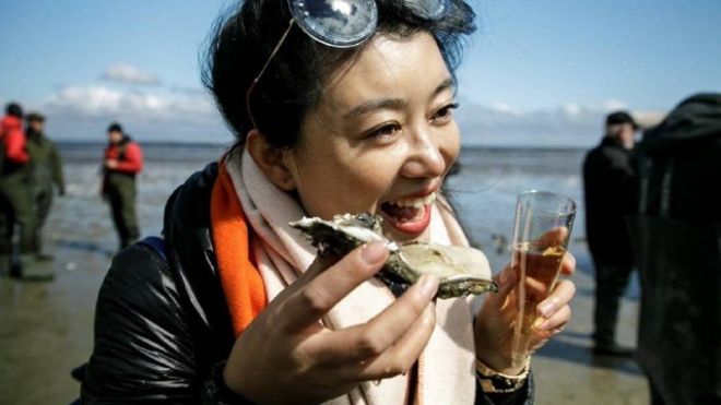 Giữa khủng hoảng hàu Đan Mạch, một phụ nữ Trung Quốc hoá người hùng nhờ thu hoạch 150kg hàu