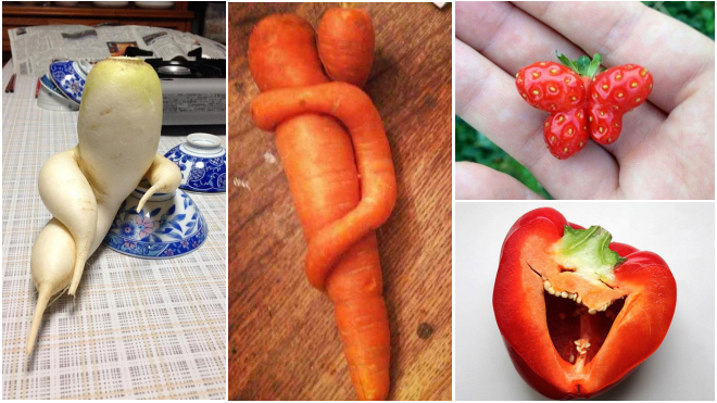 14 loại rau củ đột biến đã đạt tới cảnh giới 'thành tinh'