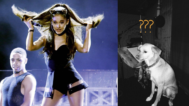 Liệu Ariana Grande sẽ mang ca khúc mới đến Việt Nam?