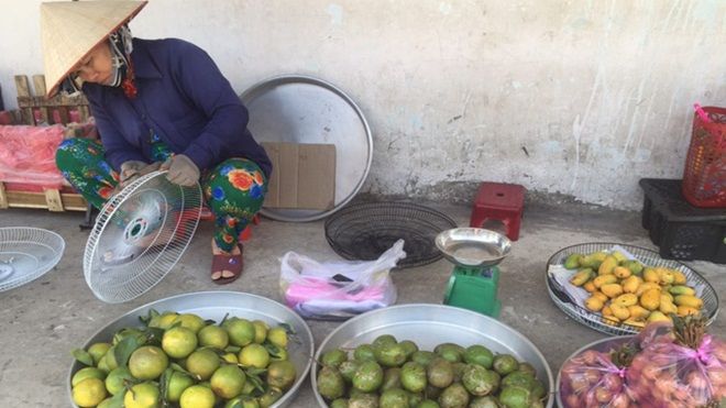 Xoài tí hon Trung Quốc tràn vào Việt Nam