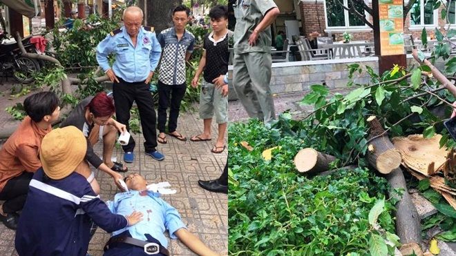Trời không mưa nhưng cây xanh vẫn gãy cành, đè người bất tỉnh