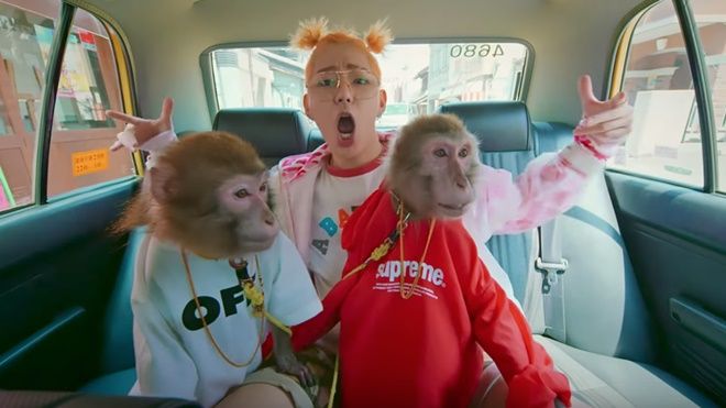 Tung MV mới, không ai vượt mặt được ‘Quái vật nhạc số’ Zico khi cho cả khỉ mặc áo Supreme