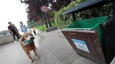 Suốt 10 năm qua, chú chó này đã có hành động khiến nhiều người phải xấu hổ với chính mình