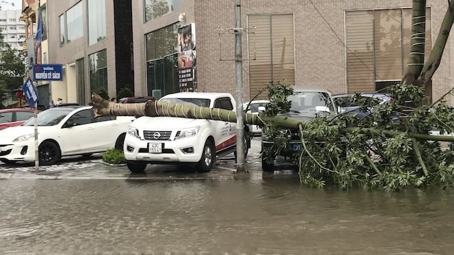 Nghệ An: Tan hoang sau bão, cây xanh bật gốc đè ô tô, người dân chặt cây tìm đường vào nhà