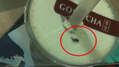 Gong Cha Đà Nẵng xin lỗi khách về trà sữa có ruồi và hứa điều tra
