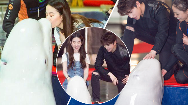'Gục ngã' trước hình ảnh hôn cá heo đáng yêu của Lưu Diệc Phi và Dương Dương