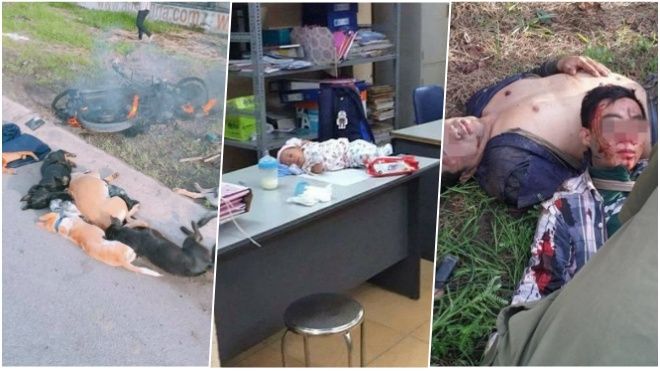 Hot nhất tuần: Thanh niên nhiễm HIV bị đánh vỡ sọ vì trộm chó, hình ảnh đáng thương của con trai Bella