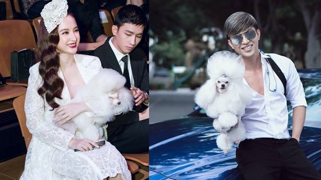 Bí ẩn dàn thú cưng triệu đô các sao Việt đang sở hữu