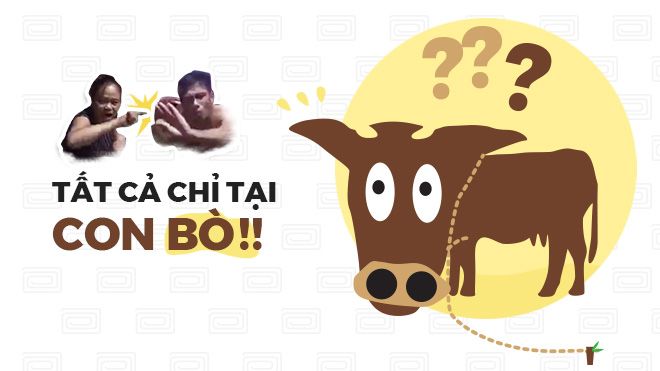 Hạnh phúc của một gia đình xứ Nghệ 'rạn nứt' chỉ vì bài toán 'con bò' đang gây sốt mạng xã hội
