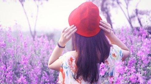 Tử vi tháng 8/2017 mới nhất, chuẩn nhất của 12 con giáp