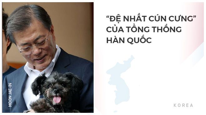 Chú chó được giải cứu trở thành 'Đệ nhất cún cưng' của Tổng thống Hàn Quốc