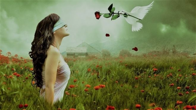 Câu chuyện cô gái mù và sự đánh đổi để có lại ánh sáng cuộc đời