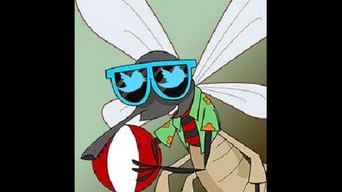 Chỉ vì dọa giết muỗi, anh chàng này bị Twitter khóa tài khoản vĩnh viễn, không thể cứu vãn