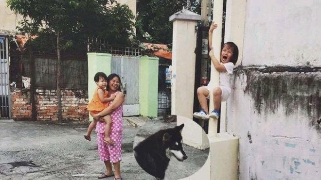 Bức ảnh cực hot mạng xã hội: Bé gái khóc thét, leo tót cột điện vì sợ chó
