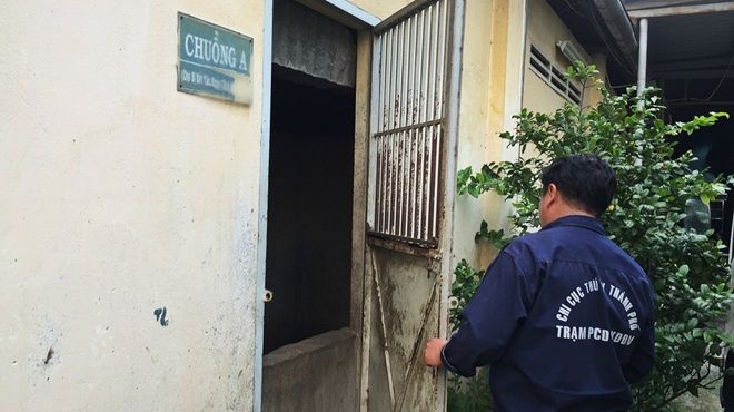 Đội trưởng đội bắt chó thả rông: ‘Anh em chúng tôi nhường cả thức ăn cho những con chó mình bắt về’