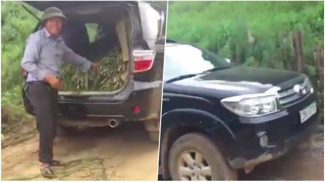 Clip: 'Nông dân' Sơn La mang xe ô tô tiền tỷ đi chở cỏ cho bò gây sốt mạng xã hội