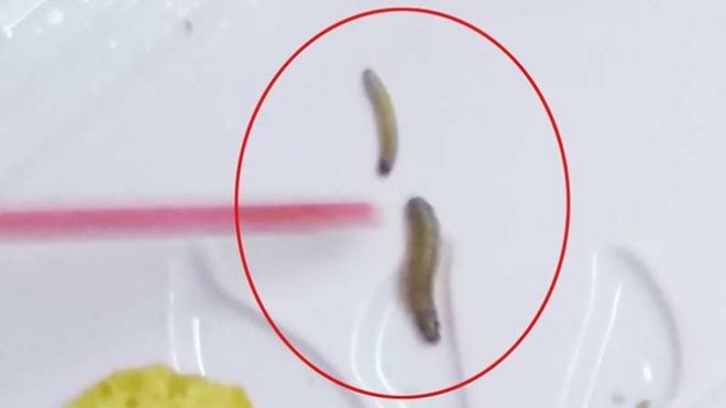 Mất 12 triệu vì đăng Facebook tố cáo bánh Trung thu có dòi