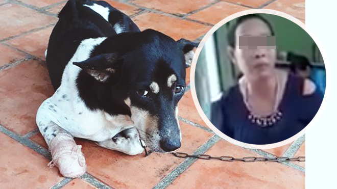 Lời trần tình của người phụ nữ chặt chân chó khiến cộng đồng mạng phẫn nộ