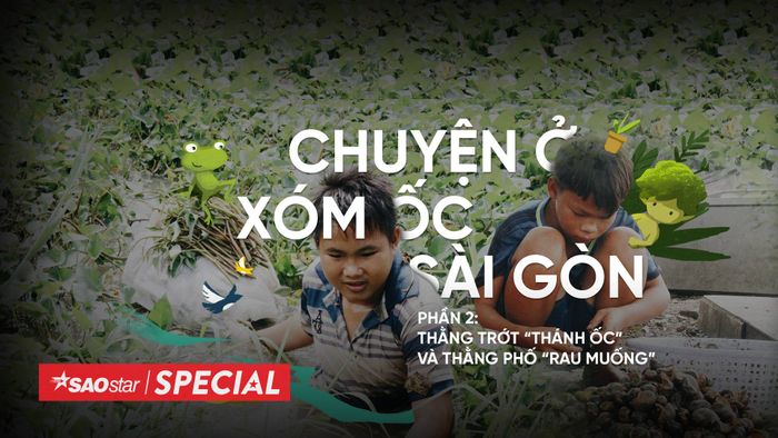 Chuyện ở xóm ốc Sài Gòn phần 2: Thằng Trớt ‘thánh ốc’ và thằng Phố ‘rau muống’