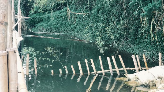 Đến Hội An thì đừng bỏ lỡ làng Triêm Tây bên con sông Thu Bồn này!