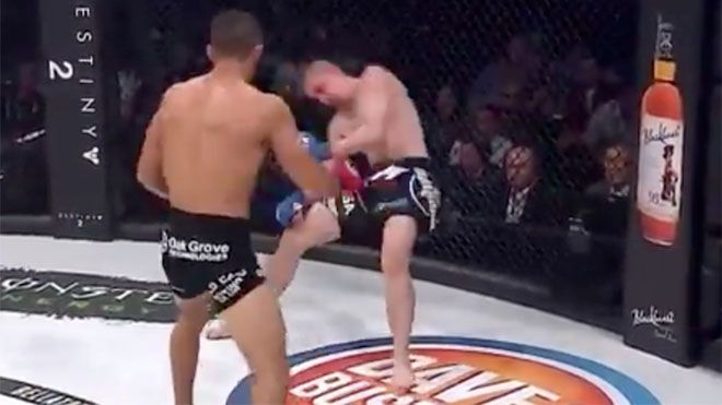 Clip: Cú đấm móc 'tàn khốc' khiến võ sĩ MMA lập tức bất tỉnh