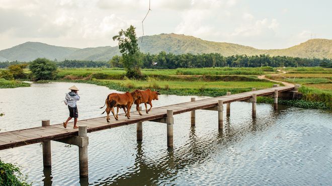 Những vẻ đẹp của Phú Yên mà ngay cả phim ảnh cũng không lột tả được trọn vẹn