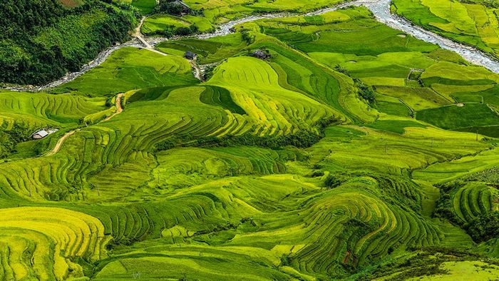 Tháng 10 này, bạn sẽ lạc bước vào xứ 'thần tiên' khi đến 3 điểm sau ở miền Bắc