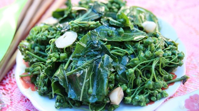 Hết sốt nho rừng chua lèm, người Tây Bắc lại chuộng đặc sản 'chết người' lá ngón xào tỏi