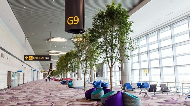Vietnam Airlines chuyển sang khai thác nhà ga T4 rộng 225.000m2 tại Singapore