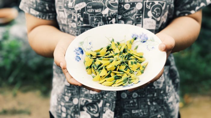 Thưởng thức món ăn 'chuẩn' organic ở trang trại 'đặc biệt' của Đồng Tháp