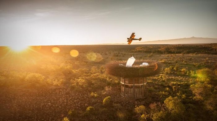 Bên trong 'tổ chim' 5 sao đầu tiên trên thế giới