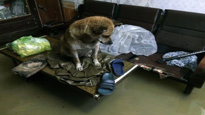 Hình ảnh nước ngập kinh hoàng do mưa lũ từ miền Bắc đến miền Trung