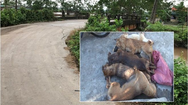 Người đánh chết kẻ trộm chó sẽ đối diện mức án nào?