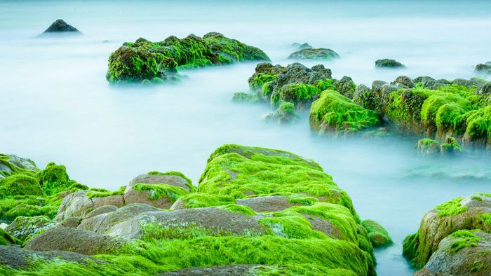 Cổ Thạch Tự , có phải đây là cảnh bồng lai?