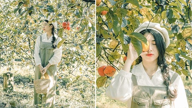 Địa điểm 'sống ảo' mới nhất tại Đà Lạt: Vườn hồng thơ mộng như truyện cổ tích