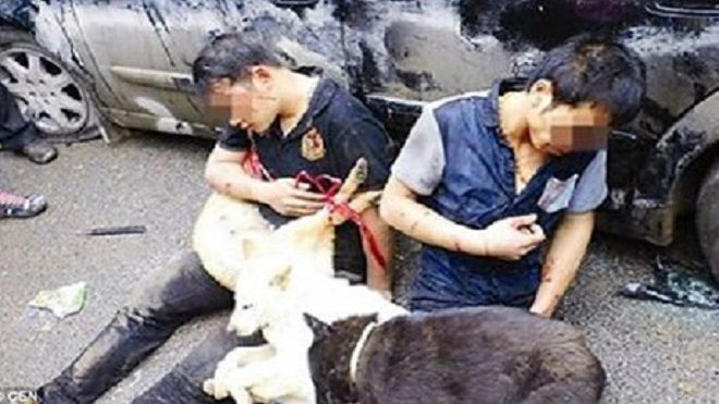 Khởi tố vụ án người dân đánh đến chế thanh niên trộm 5 con chó ở Hà Nội