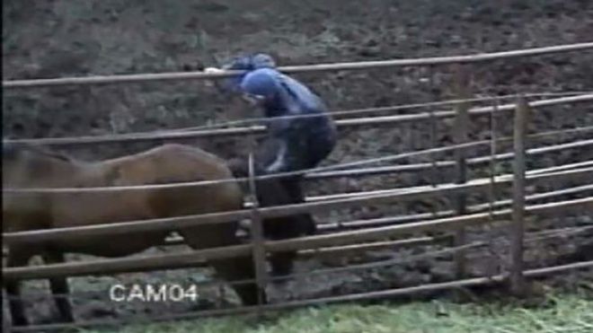 Phát hiện bạn trai 'quan hệ' với ngựa, cô gái dứt khoát chia tay không thương tiếc