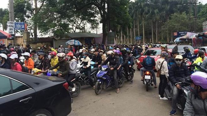 Hàng nghìn phượt thủ đổ xô lên Ba Vì ngắm hoa dã quỳ