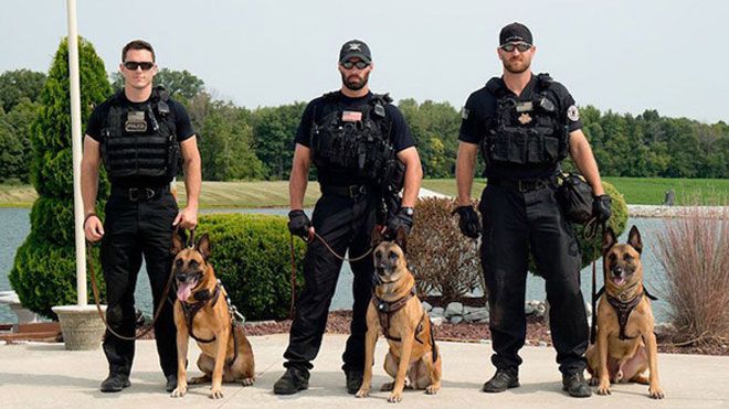 Chó nghiệp vụ: 'Người hùng 4 chân' không thể thiếu trong mỗi chuyến công du của Tổng thống Mỹ