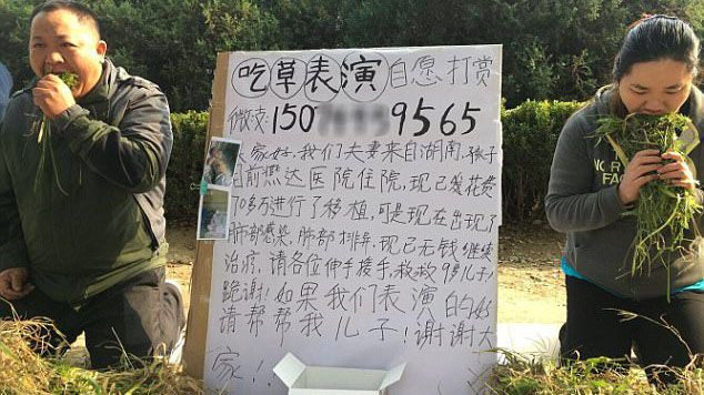 Cặp vợ chồng ăn cỏ 'mua vui' cho người qua đường và sự thật khiến ai cũng rơi nước mắt