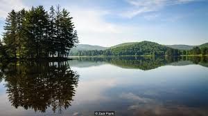 Chiếc Cabin tuyệt đẹp nằm gọn trong lòng khu rừng, đưa bạn về lại với thiên nhiên