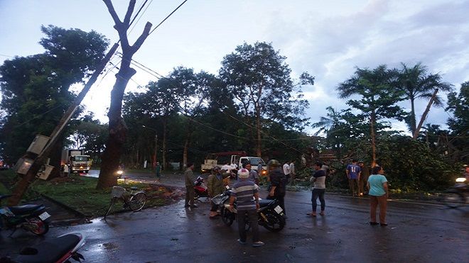 Cổ thụ bật gốc đè lên ôtô trong mưa lớn, 2 vợ chồng thoát chết