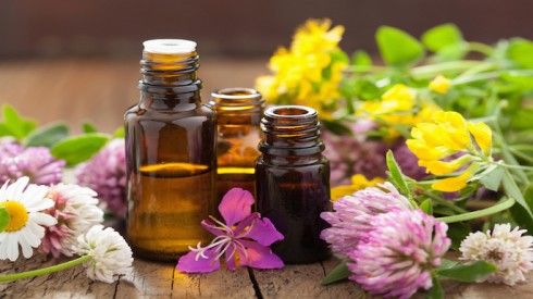 Cách ủ rượu hoa quế vừa nhanh vừa đơn giản lại ngon không kém các nghệ nhân xưa