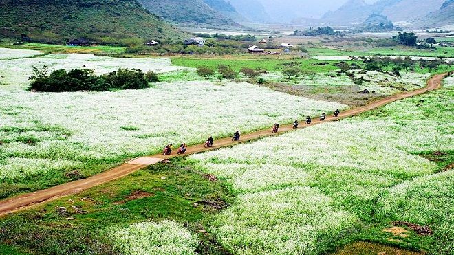 Những tuyệt tác từ bạn tay khéo léo của người nông dân mà bạn chưa từng ngờ tới
