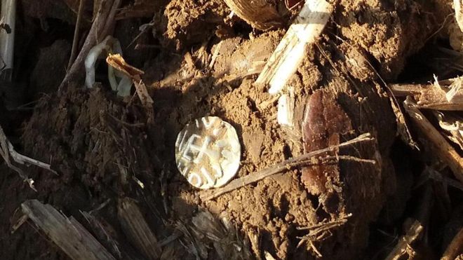 Miệt mài 25 năm tìm kho báu, người đàn ông cuối cùng cũng hái được 'quả ngọt'